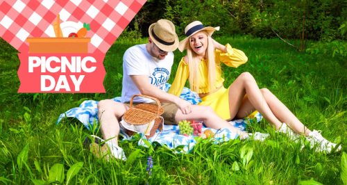 Picnic Day – Novella Night